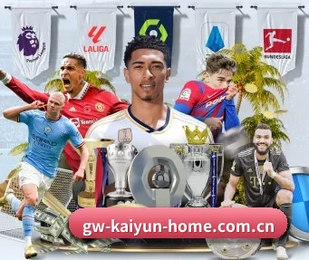 开云体育入口 APP(KaiyunSports)